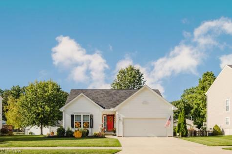 264 Cedarbrook Drive Painesville OH 44077