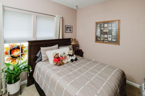 264 Cedarbrook Drive Painesville OH 44077