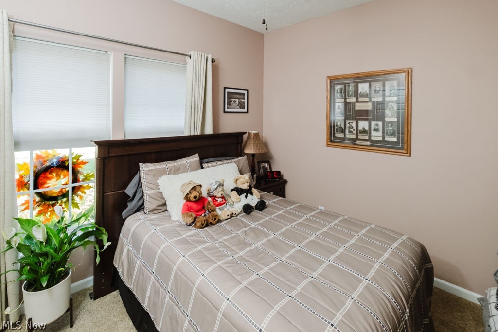 264 Cedarbrook Drive Painesville OH 44077