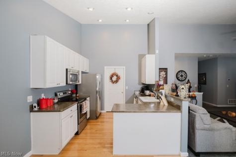 264 Cedarbrook Drive Painesville OH 44077