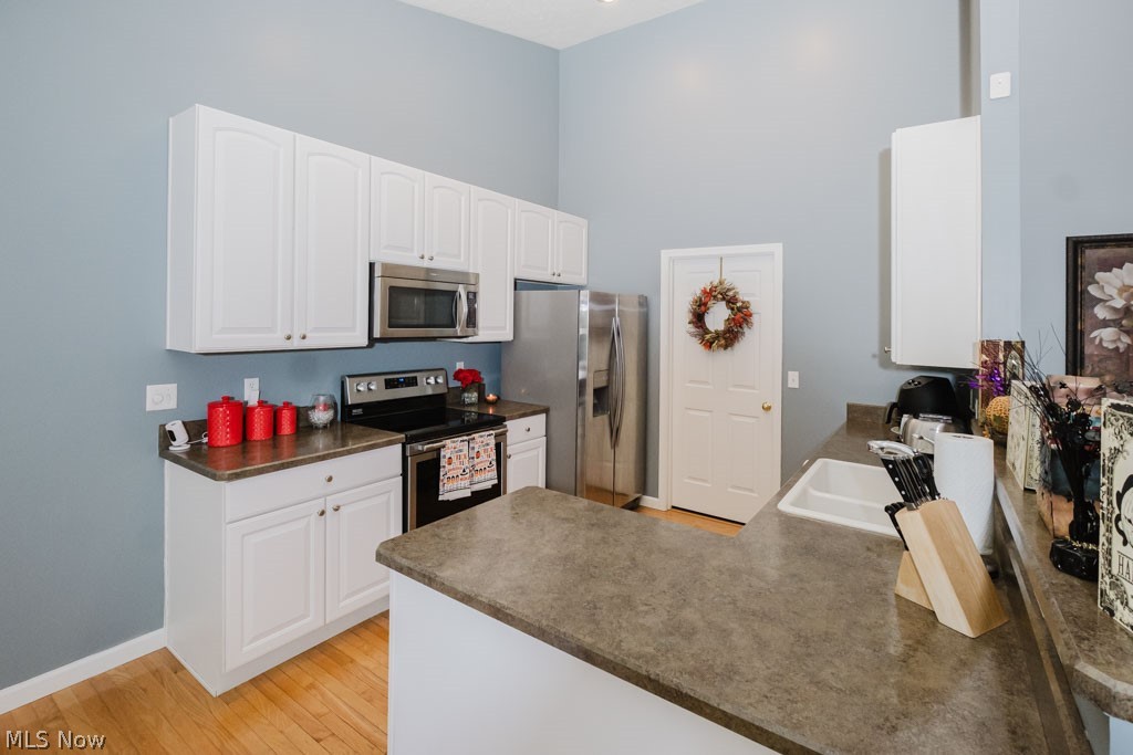 264 Cedarbrook Drive Painesville OH 44077