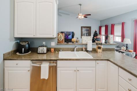 264 Cedarbrook Drive Painesville OH 44077