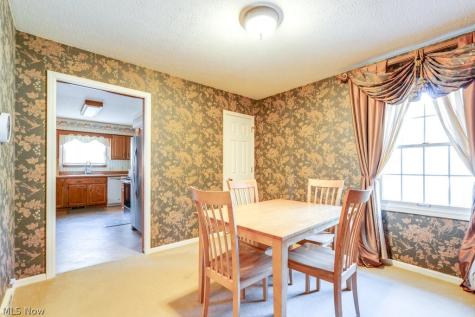 124 Alber Drive Medina OH 44256
