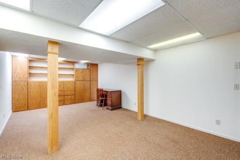 124 Alber Drive Medina OH 44256