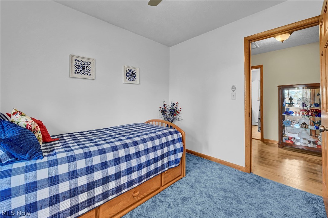 3109 Fair Oaks Drive Norton OH 44203