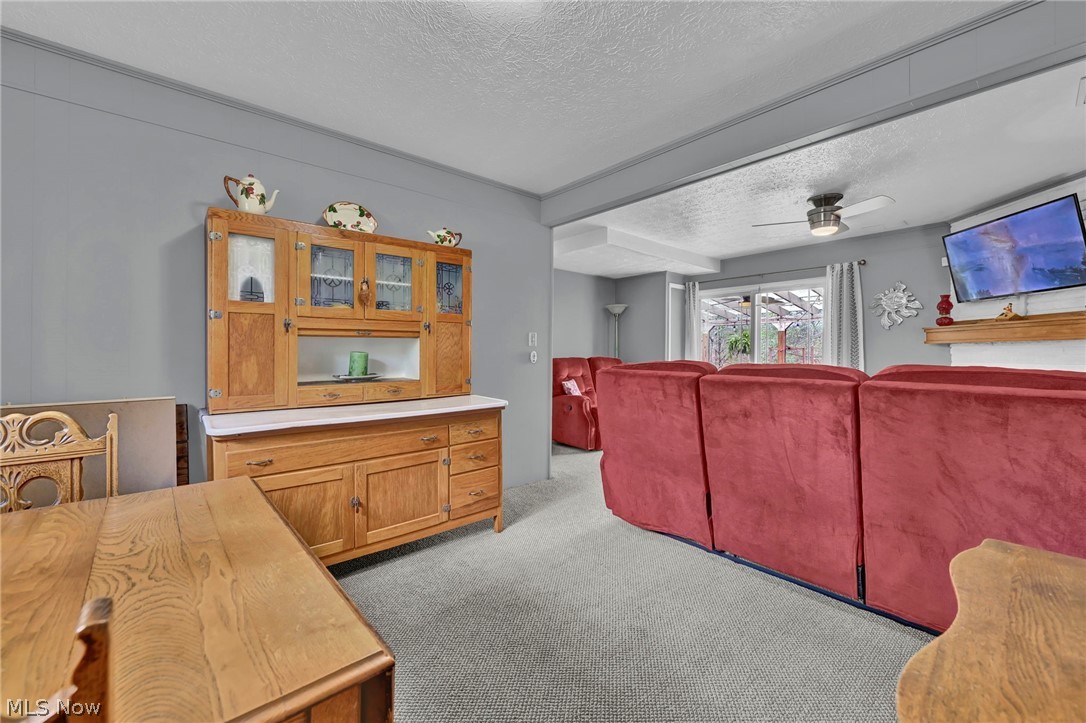 3109 Fair Oaks Drive Norton OH 44203