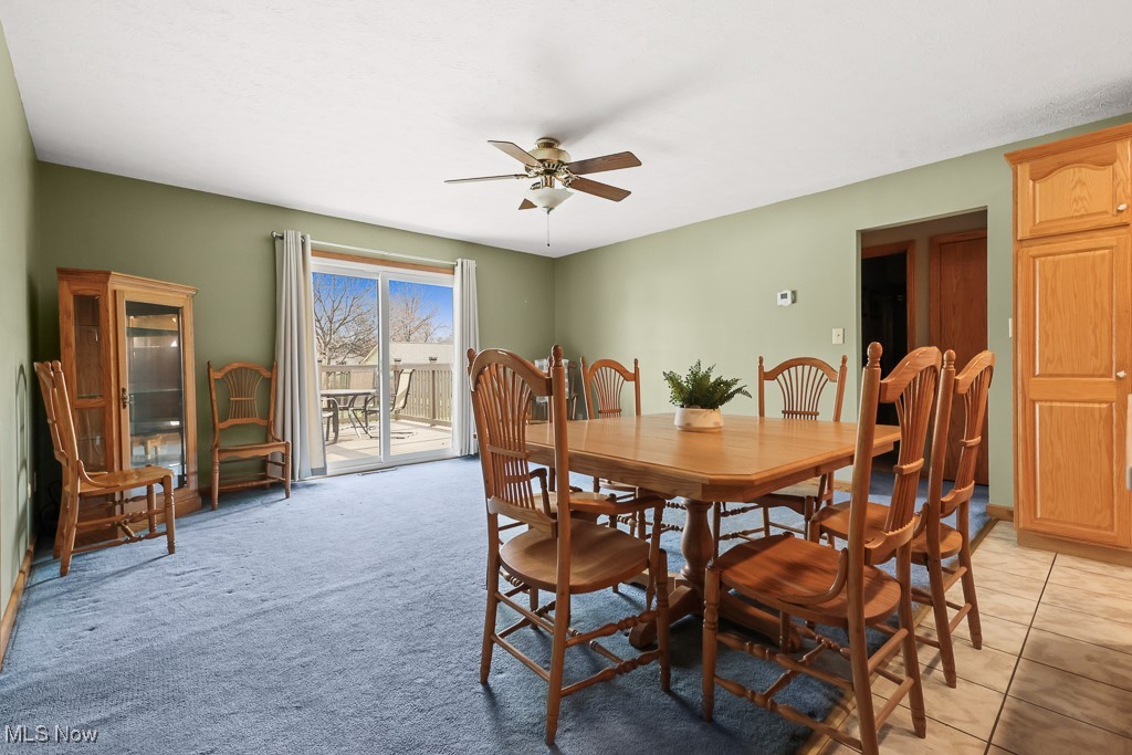 3018 Blenheim Avenue Alliance OH 44601
