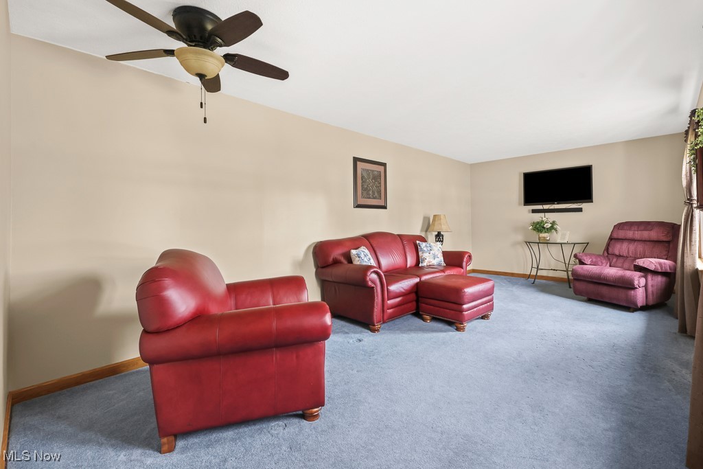 3018 Blenheim Avenue Alliance OH 44601