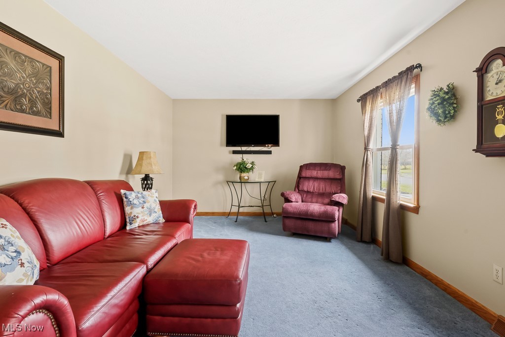 3018 Blenheim Avenue Alliance OH 44601