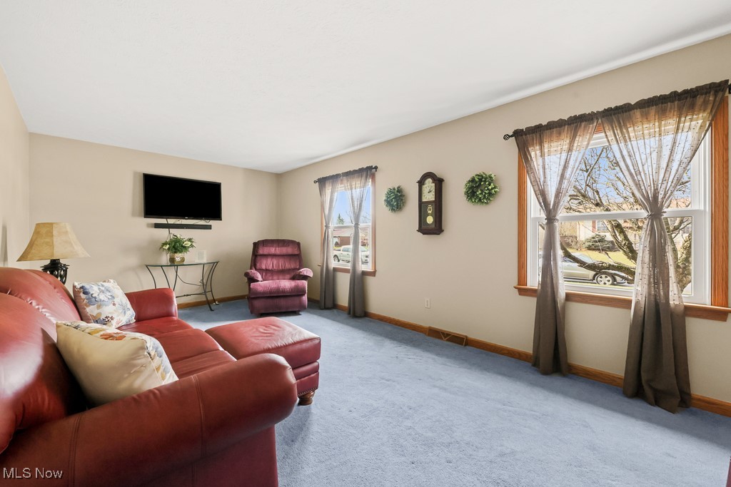 3018 Blenheim Avenue Alliance OH 44601