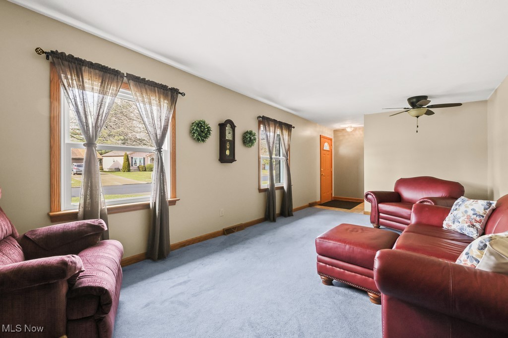 3018 Blenheim Avenue Alliance OH 44601