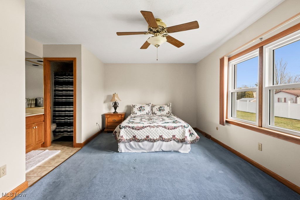 3018 Blenheim Avenue Alliance OH 44601