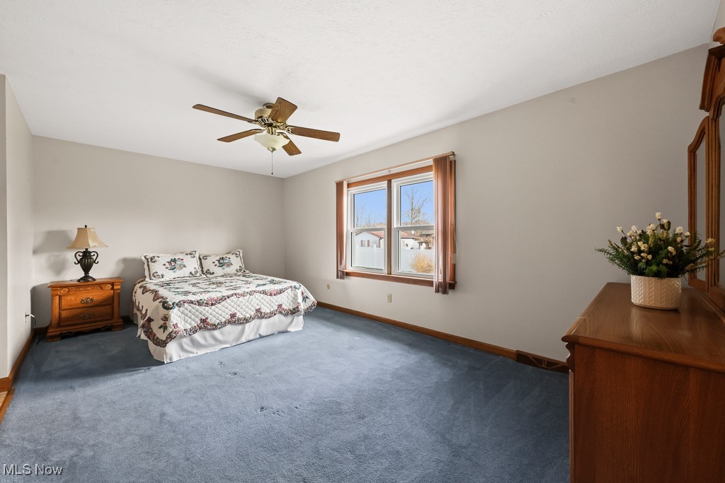 3018 Blenheim Avenue Alliance OH 44601