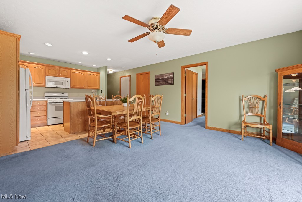 3018 Blenheim Avenue Alliance OH 44601