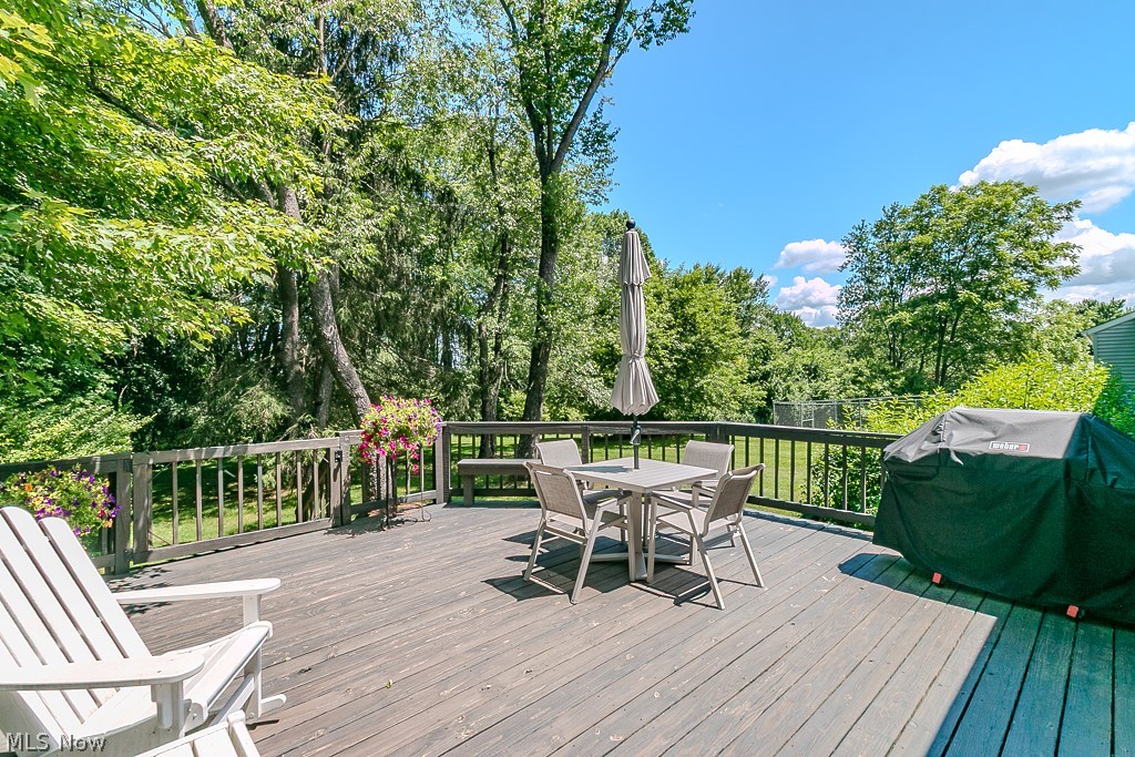8422 Holly Hill Drive Novelty OH 44072