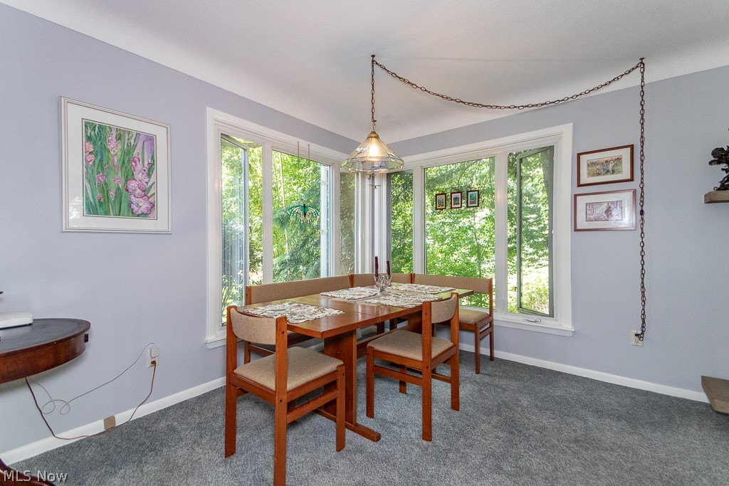8422 Holly Hill Drive Novelty OH 44072