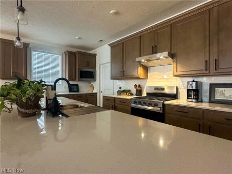 8139 Brookview Lane Mentor OH 44060