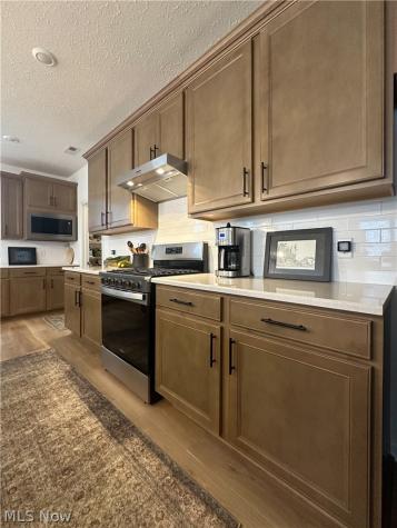 8139 Brookview Lane Mentor OH 44060