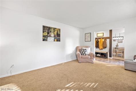 33020 Leafy Mill Lane North Ridgeville OH 44039