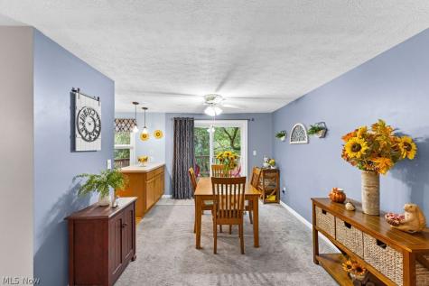 1270 Goldfinch Trail Stow OH 44224