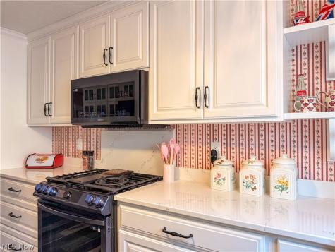 27 Bungalow Bay Boulevard Chippewa Lake OH 44215
