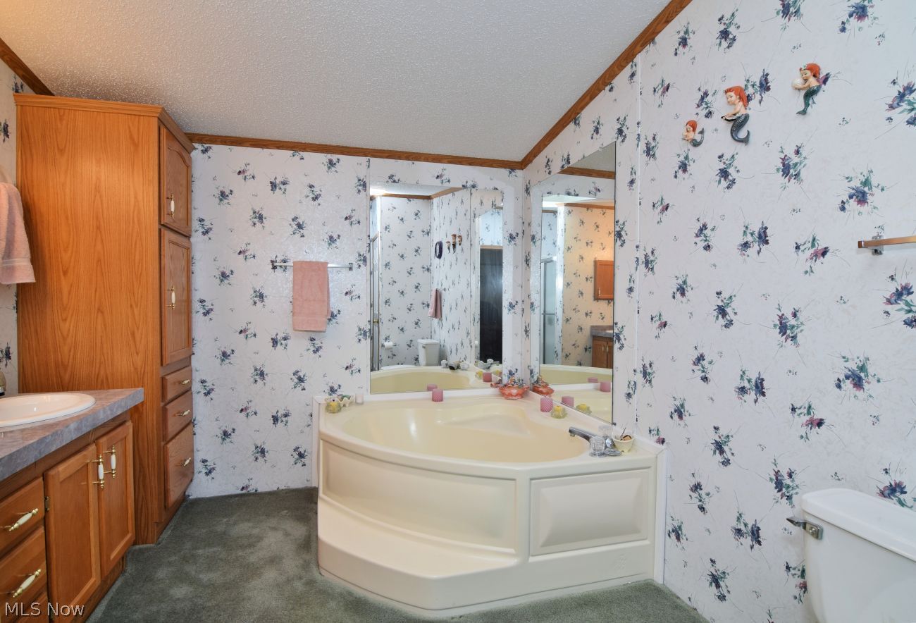 222 Troy Oaks Drive Hiram OH 44234