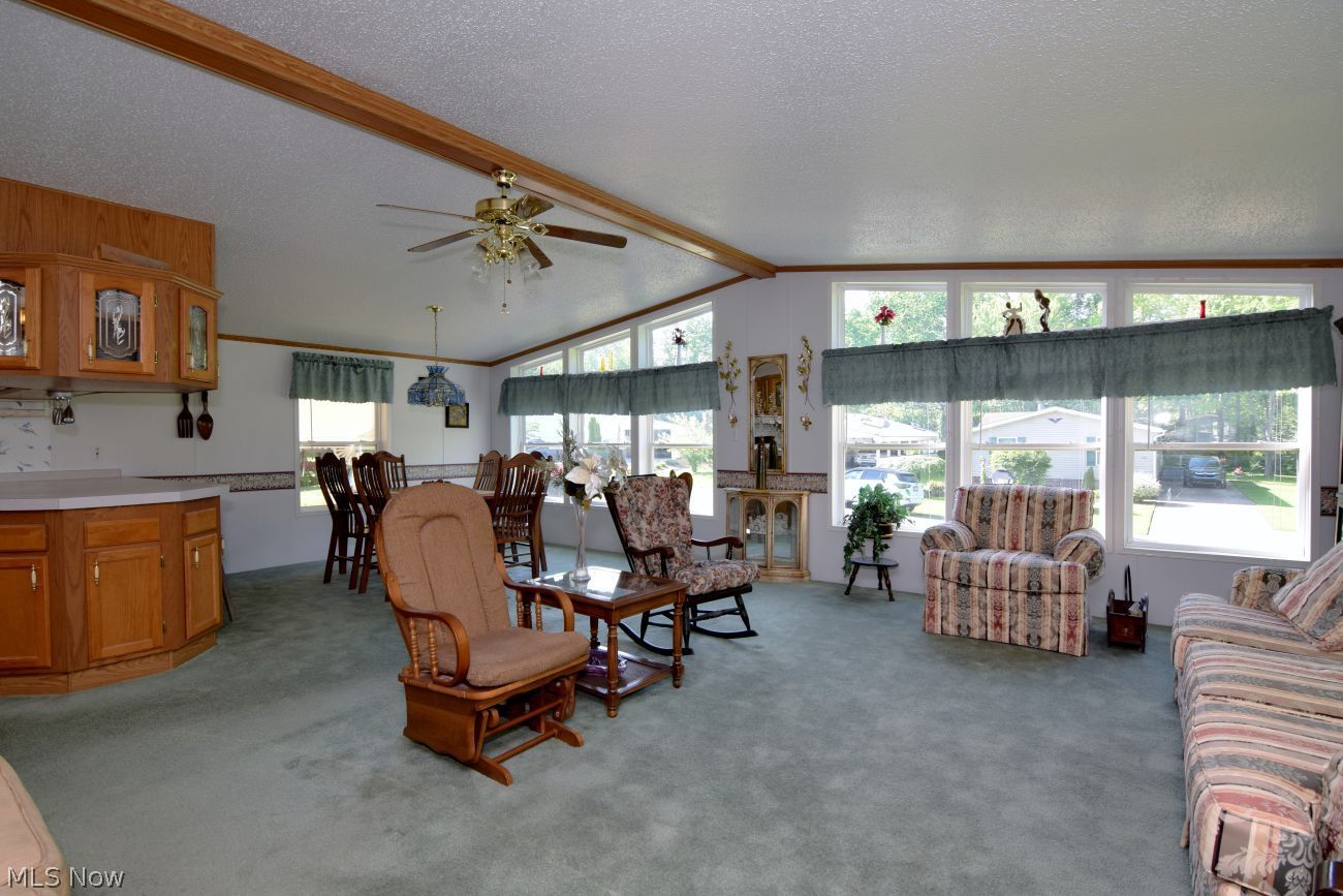 222 Troy Oaks Drive Hiram OH 44234