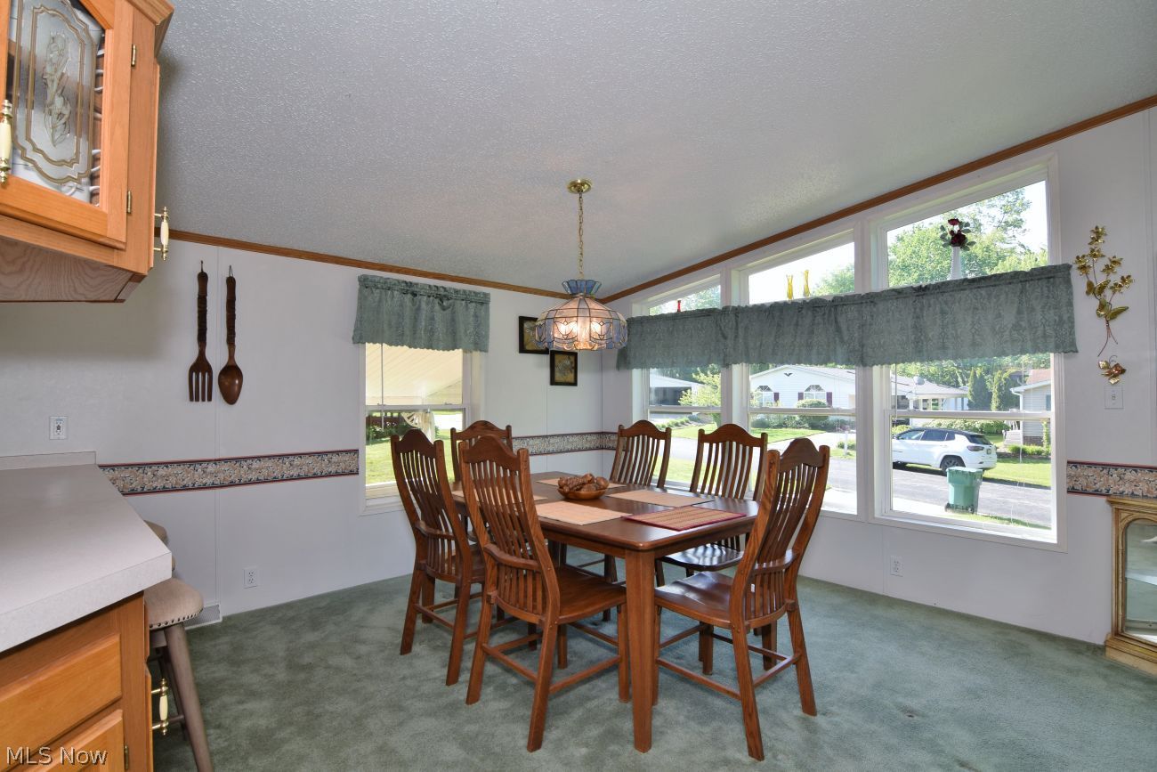 222 Troy Oaks Drive Hiram OH 44234
