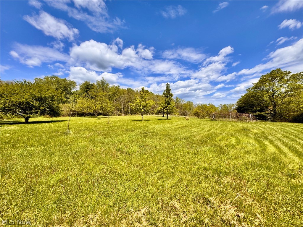 1975 Mcgowan Road Norton OH 44203