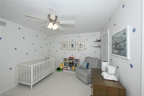7956 Orianna Street Brecksville OH 44141