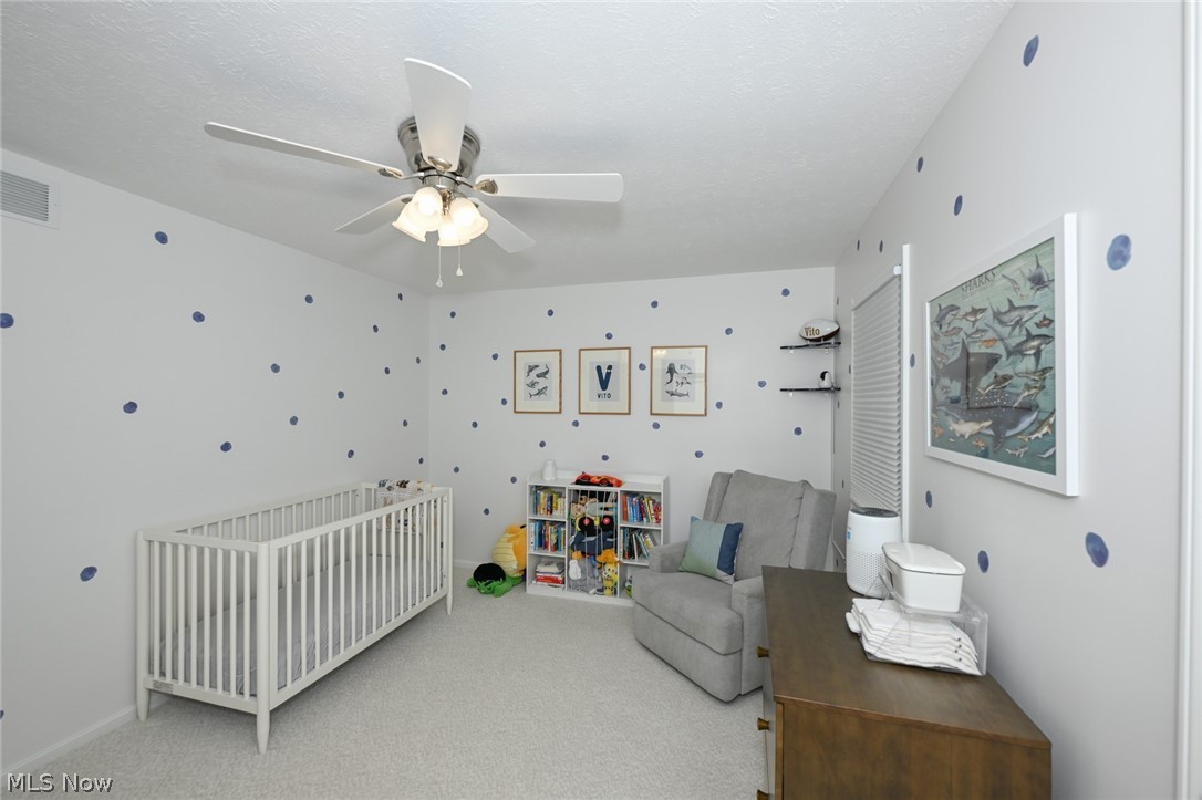 7956 Orianna Street Brecksville OH 44141