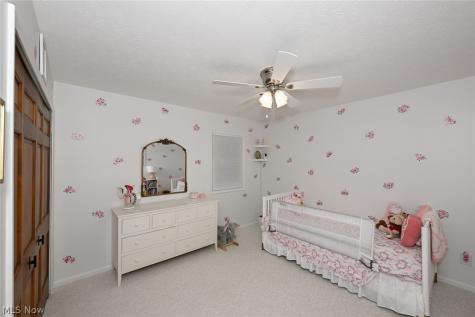 7956 Orianna Street Brecksville OH 44141
