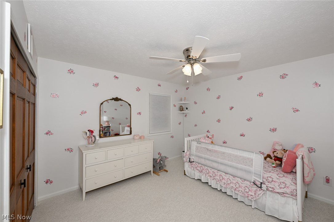 7956 Orianna Street Brecksville OH 44141