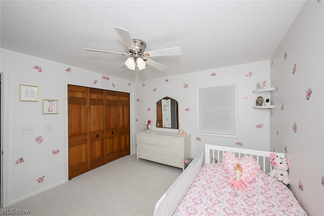 7956 Orianna Street Brecksville OH 44141