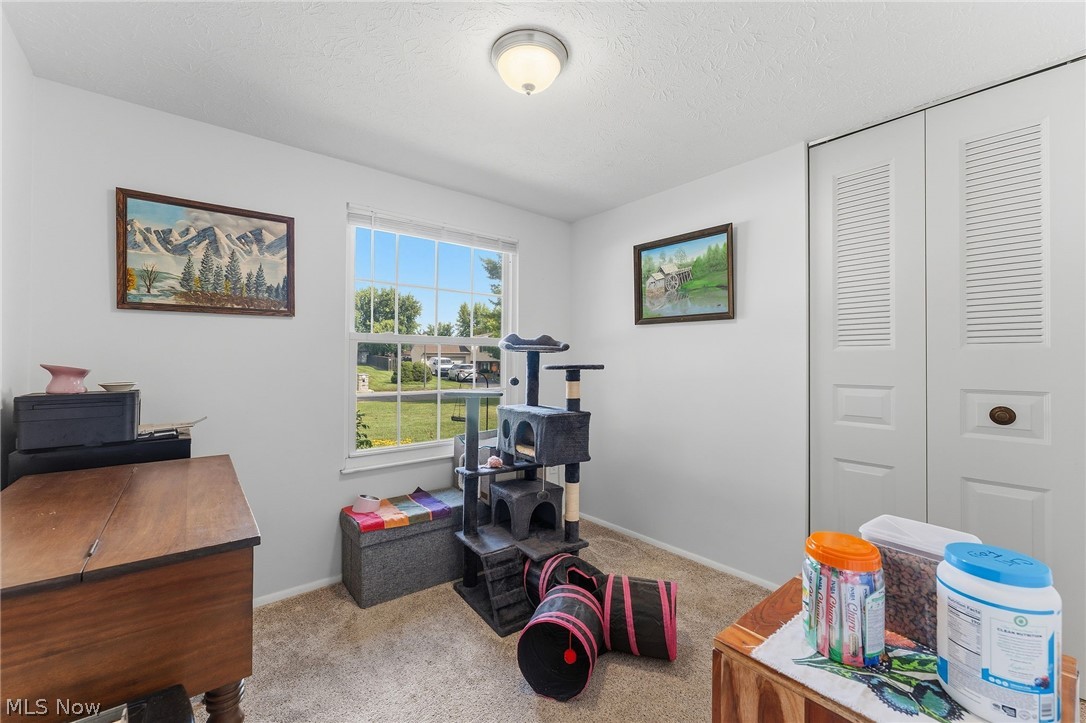 137 Chapel Hill Drive NW Warren OH 44483