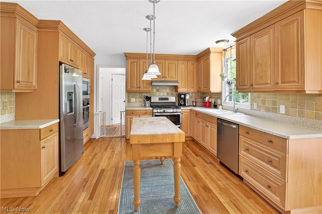 9103 Lake In The Woods Trail Chagrin Falls OH 44023
