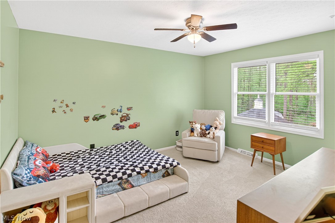 9103 Lake In The Woods Trail Chagrin Falls OH 44023