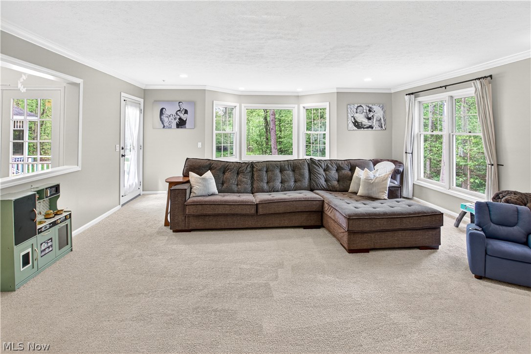 9103 Lake In The Woods Trail Chagrin Falls OH 44023
