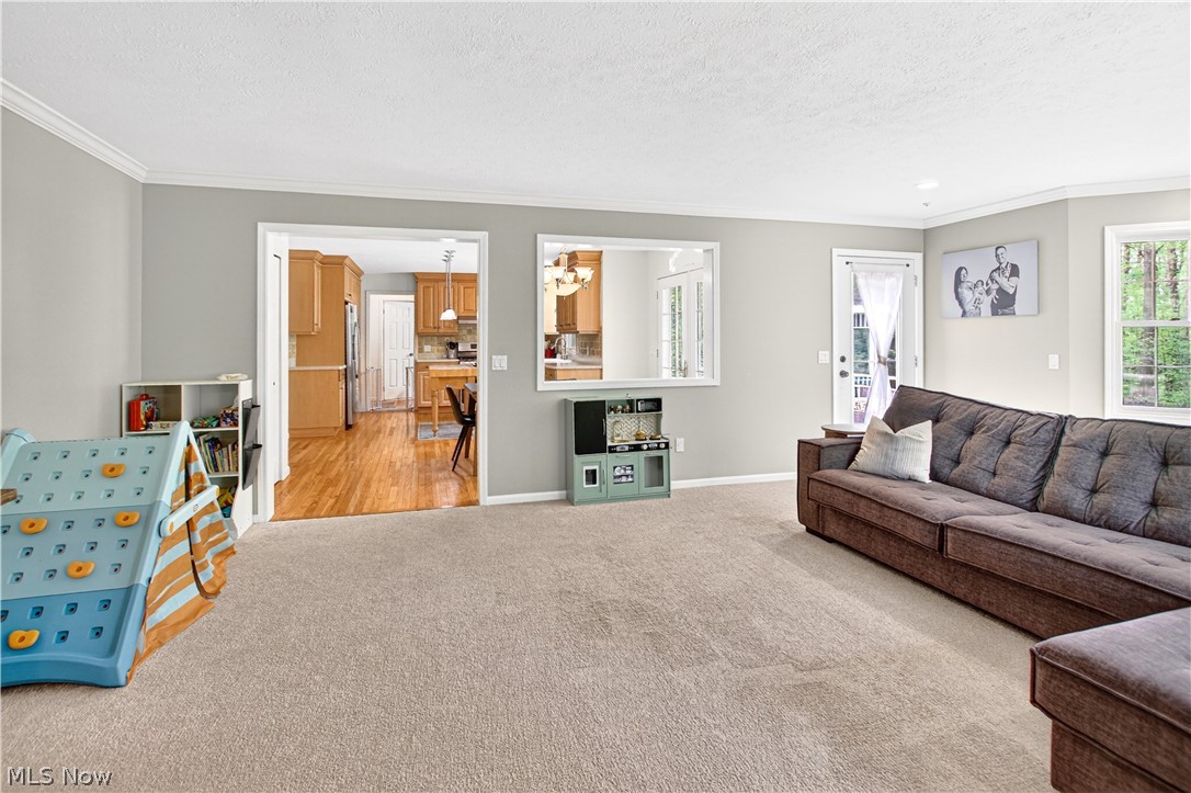 9103 Lake In The Woods Trail Chagrin Falls OH 44023