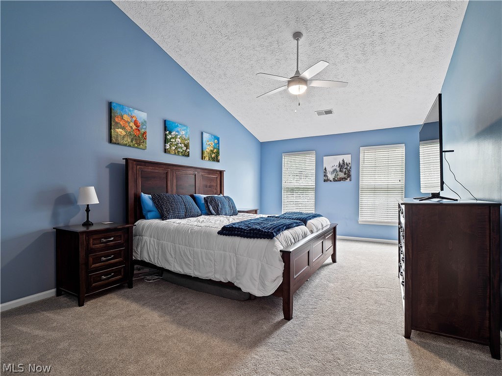 9202 Lake View Drive Olmsted Falls OH 44138