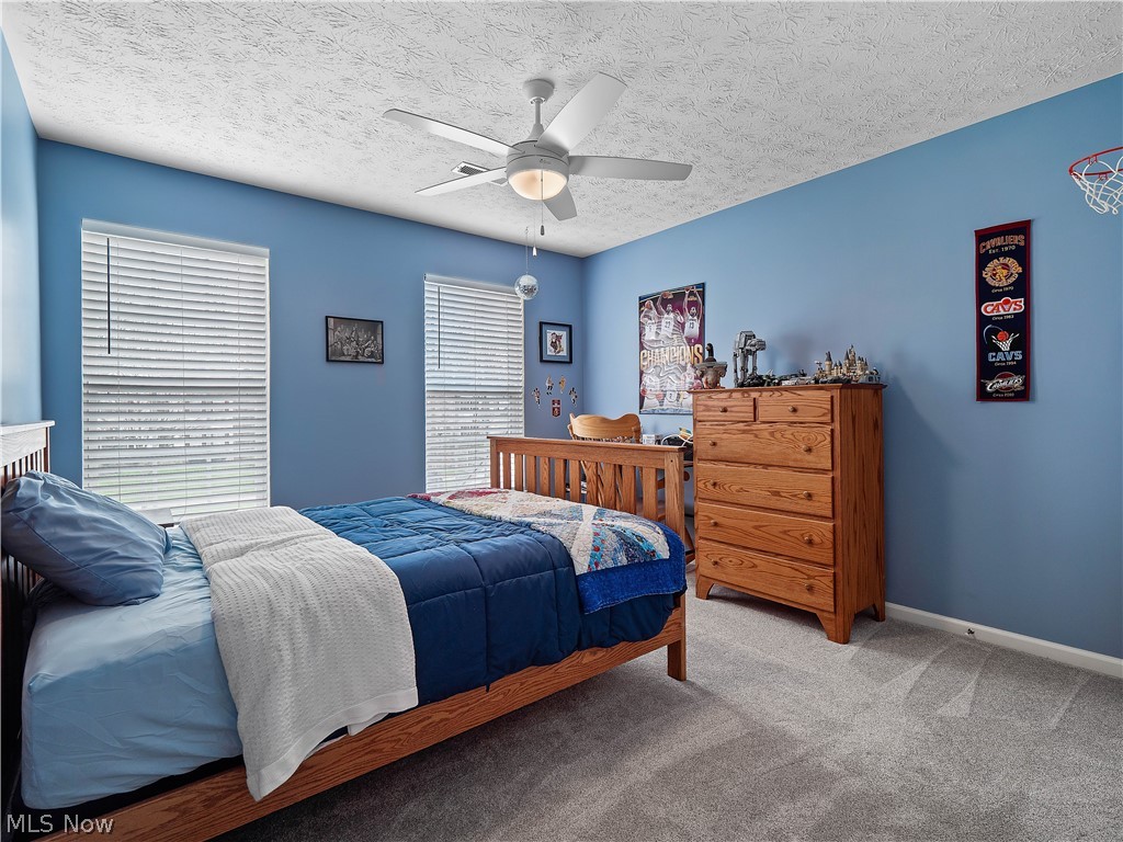 9202 Lake View Drive Olmsted Falls OH 44138