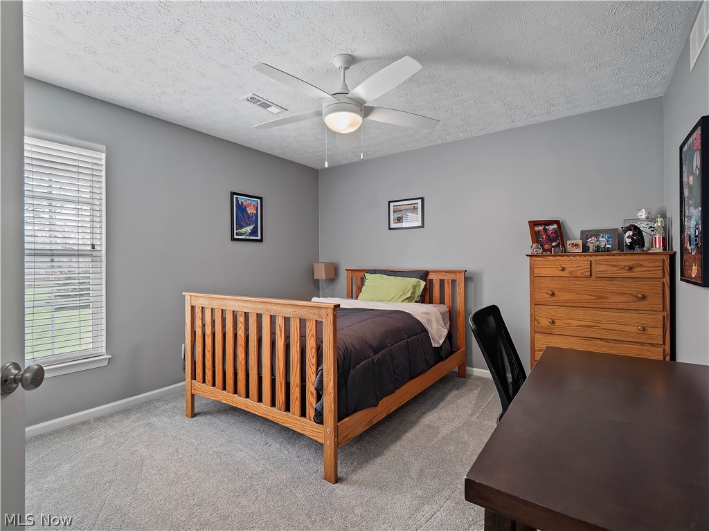 9202 Lake View Drive Olmsted Falls OH 44138