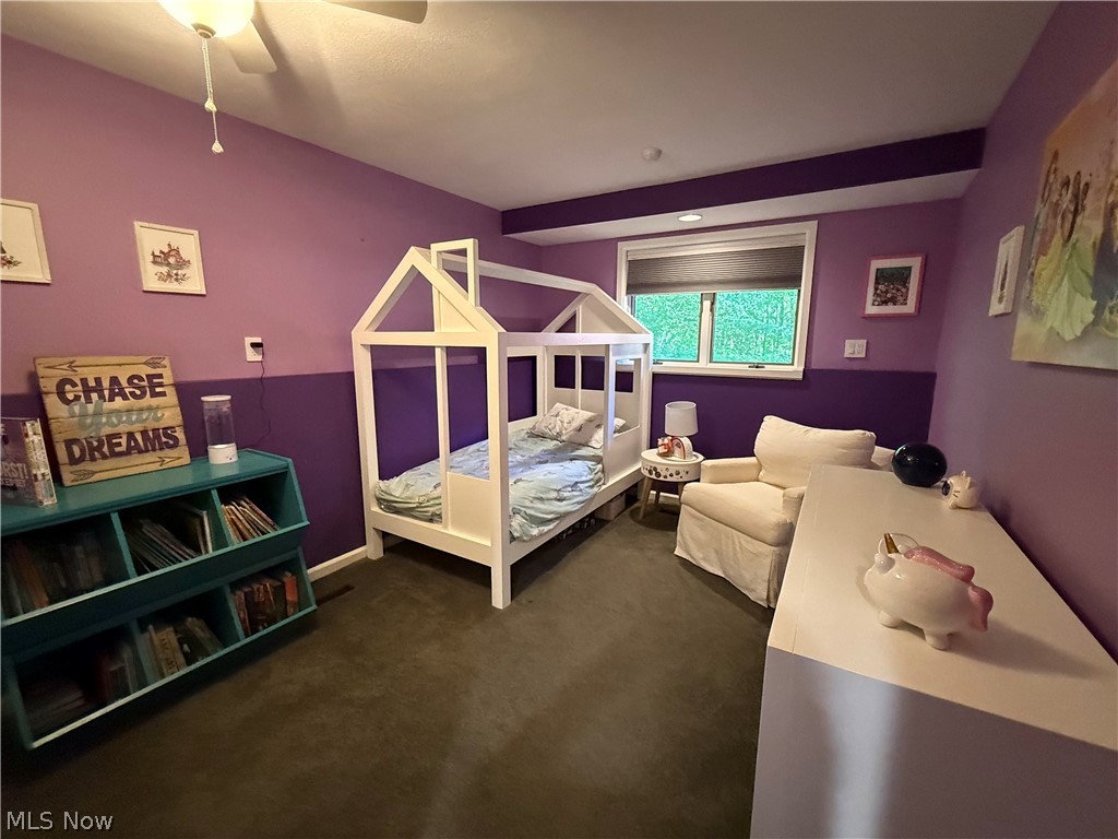 2252 Valley Wood Drive Akron OH 44333