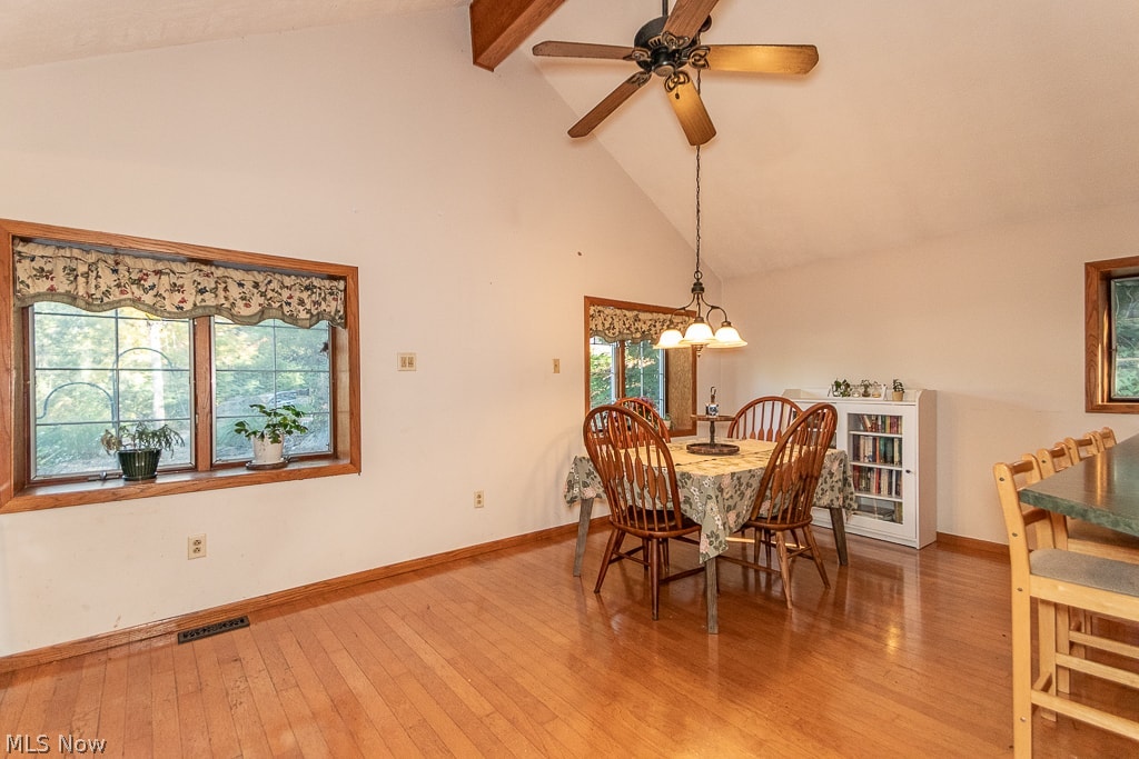 29224 Armadale Avenue Wickliffe OH 44092