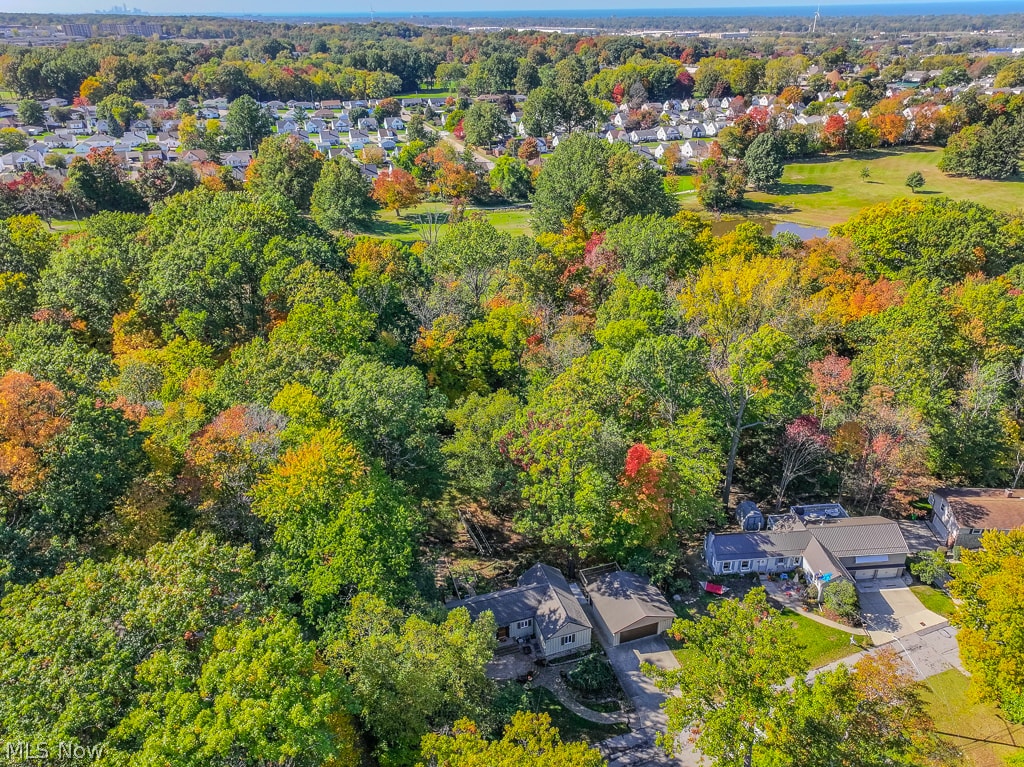 29224 Armadale Avenue Wickliffe OH 44092
