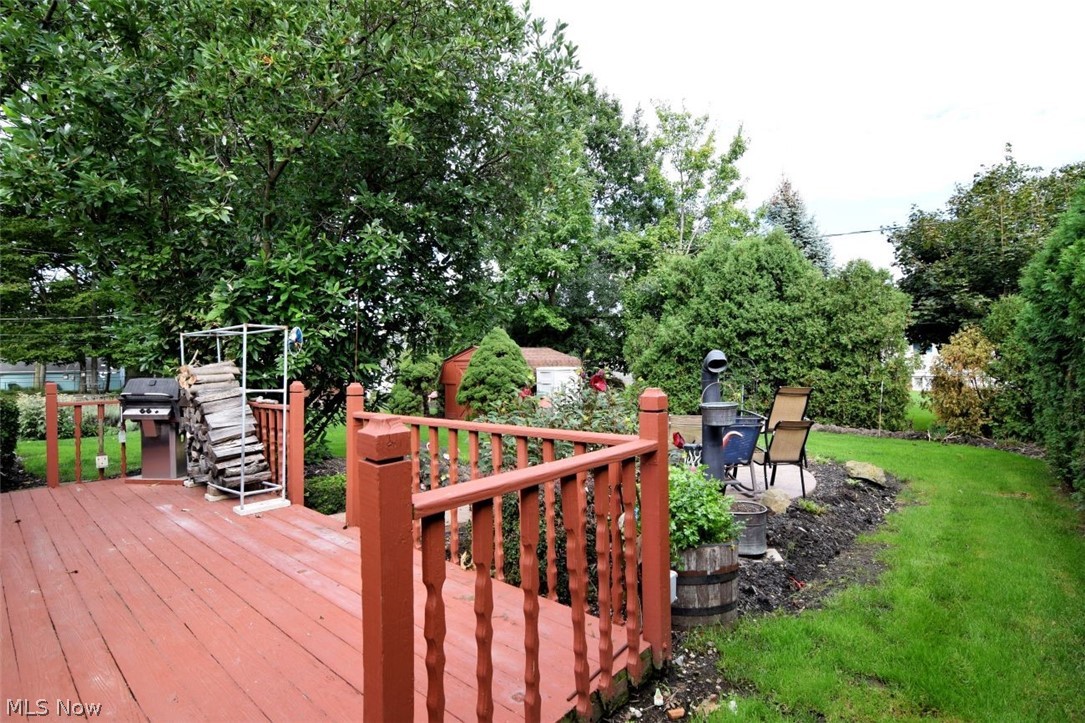 1185 Jackie Lane Mayfield Heights OH 44124