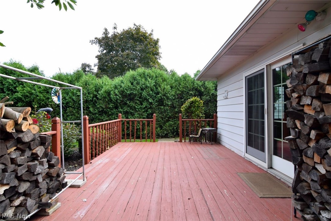1185 Jackie Lane Mayfield Heights OH 44124