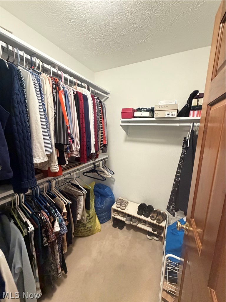 435 Thomas Alva Drive Vermilion OH 44089