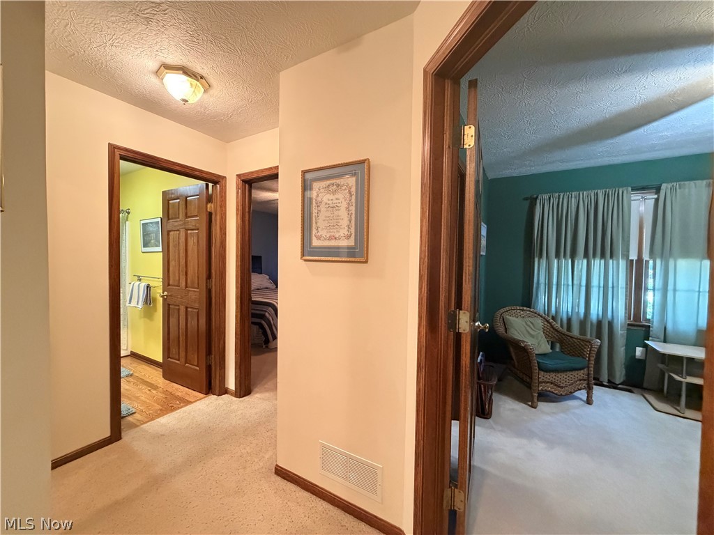 435 Thomas Alva Drive Vermilion OH 44089