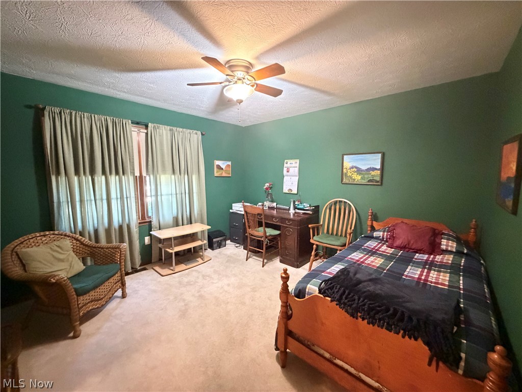 435 Thomas Alva Drive Vermilion OH 44089